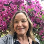 Julie Harrison - Instagram Profile Picture of Julie Harrison (@julesmari80) on Instagram