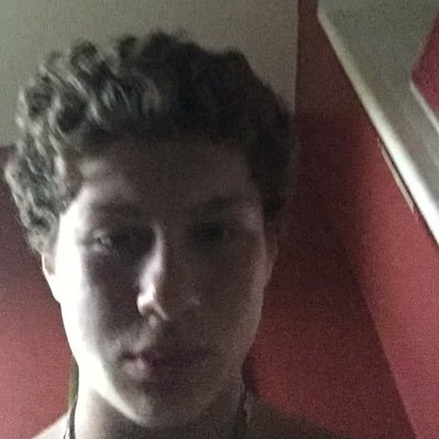 Profile Picture of Seth Weissman (@seth_weissman) on Twitter