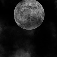 Profile Picture of Gina Lugo (@gina-lugo-13) on Quora