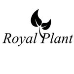 Profile Picture of Royal Plant (@royalplant.fi) on Instagram