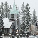 Barry Reiser Lau - Instagram Profile Picture of Barry Reiser Lau (@barry_reiser_lau) on Instagram