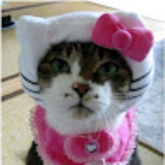 Profile Picture of Mara Tooley (@mrae0255) on Poshmark