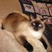 Profile Picture of Nancy Rudy (@grandmanlr912) on Pinterest
