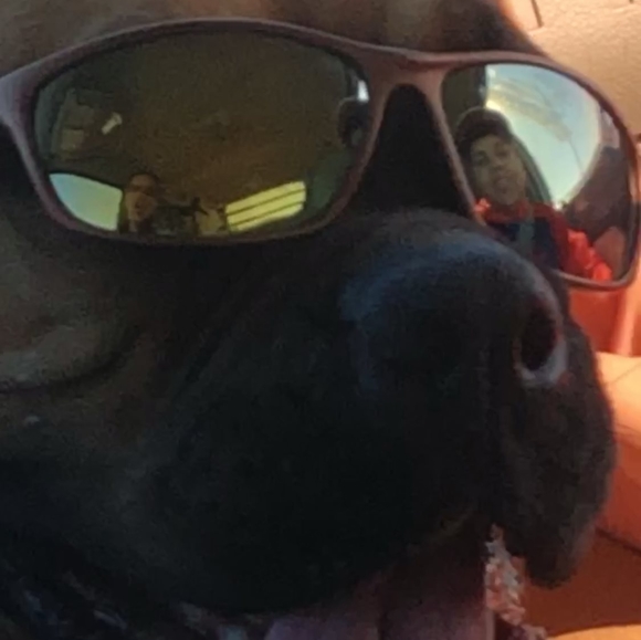 Profile Picture of Kevin Ramirez (@kevinram) on Poshmark