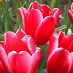 Profile Picture of Oswald Vandam (@oswald.vandam) on Facebook