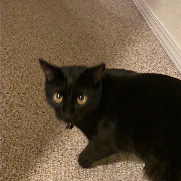 Thomas Staines - Poshmark Profile Picture of Thomas Staines (@thomas7staines) on Poshmark