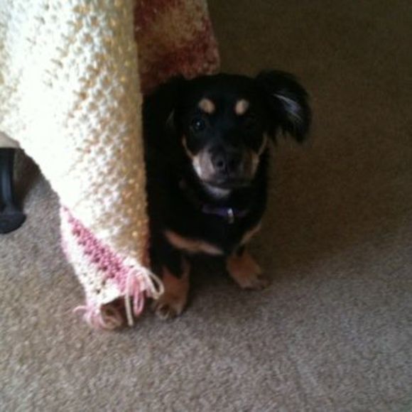 Profile Picture of Chris Tucker (@pepp2021) on Poshmark