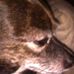 Profile Picture of Nick Burdick (@nick.burdick.37) on Facebook