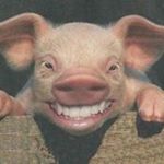 Profile Picture of Luis Napoles (@luis.napoles) on Instagram