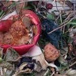 Profile Picture of Tanya Marcuse (@tanyamarcuse) on Instagram