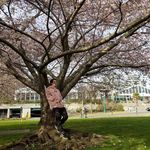 Profile Picture of Jared Swan (@jared_swan) on Instagram