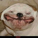 Profile Picture of jimmy harrington (@savage_life_bro) on Instagram