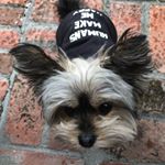 Profile Picture of Robin Hagy (@myfattycrew) on Instagram