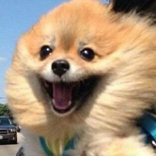 Profile Picture of Richard Moss (@fazer1878) on Twitter