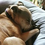 Profile Picture of James Skinner (@james.skinner) on Instagram