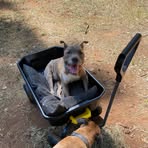 Profile Picture of Nick McFlurry (@Nick-McFlurry) on Facebook