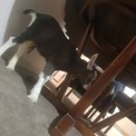 Profile Picture of bailey farley (@bailey_ya_) on Instagram