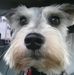 Profile Picture of Jan Shackelford (@jan.shackelford.94) on Facebook
