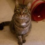 Shawn Kosinski - Instagram Profile Picture of Shawn Kosinski (@draculababe73) on Instagram