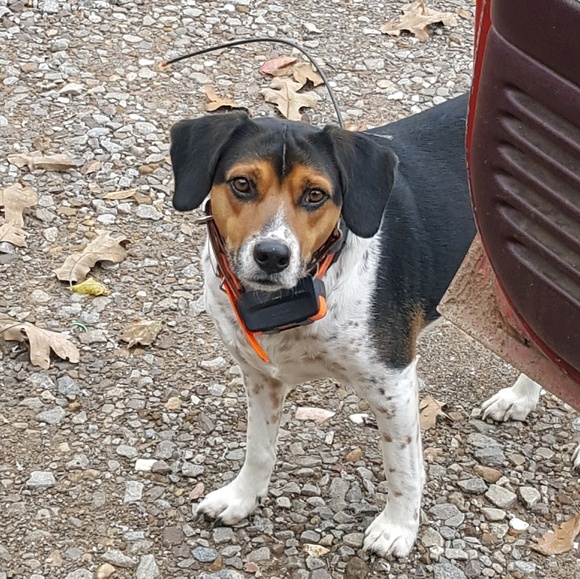 Profile Picture of Brittany Husser (@brittanyhusser) on Poshmark