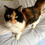 Profile Picture of Terry Faulkner (@terrydavidfaulkner58) on Instagram