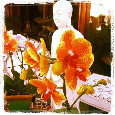 Profile Picture of Lucy Yao (@LucyYaoYao) on Twitter