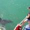 Profile Picture of Tracy Clift (@tracy.clift.52) on Facebook