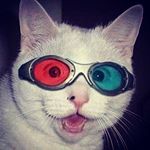 Profile Picture of Jeni yawningcatphoto Long (@yawningcatphoto) on Instagram