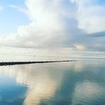 Profile Picture of A. Dietrich (@annettedietrich164) on Instagram