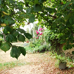 Profile Picture of anne edmonds (@anneedmonds1) on Flickr