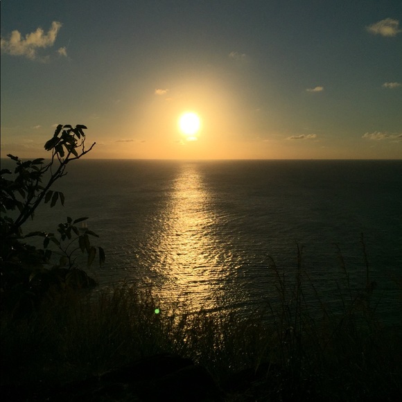 Profile Picture of Dianna Melman (@diannamelman) on Poshmark