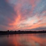 Profile Picture of Julia Dippel (@dippel_julia) on Instagram