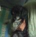 Profile Picture of Ernestine Manning (@ernestine.manning.505) on Facebook