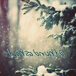 Profile Picture of Eric Garner (@thundashouts) on Instagram