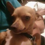 Profile Picture of crespin joe saiz (@crespinjoesaiz) on Instagram