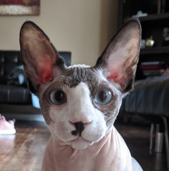 Profile Picture of Glenn Kohler (@a1lockman) on Poshmark