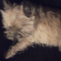 Profile Picture of Laura Sharman (@laura-sharman-11) on Quora