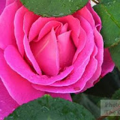 Profile Picture of David Delacruz (@daviddelacruz40) on Youtube