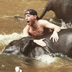 Profile Picture of Randy Seale (@randyseale8) on Instagram