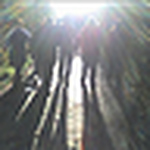 Profile Picture of Martin Roche (@martinroche) on Flickr