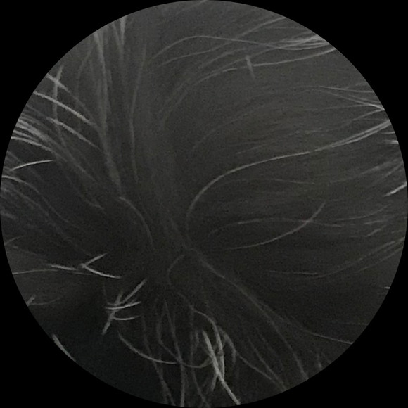 Profile Picture of Nicholas Auvil (@auvil5auvil) on Poshmark