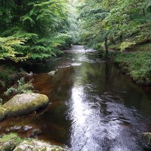 Profile Picture of Kevin Graham Johns (@KevinGrahamJoh1) on Twitter