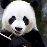 Profile Picture of Sangeetha N (@sangeetha-n-6) on Quora