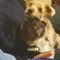 Profile Picture of Cathy Gorman (@cathy.gorman.750) on Facebook