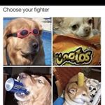 Profile Picture of Hayden Hayes (@haydenhayes46) on Instagram