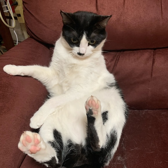 Profile Picture of John Frost (@frostjmw) on Poshmark