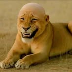 Profile Picture of Nick Rebancos (@nick.rebancos.3) on Facebook