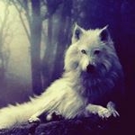 Profile Picture of Corey McLean (@corey.mclean.94849) on Instagram