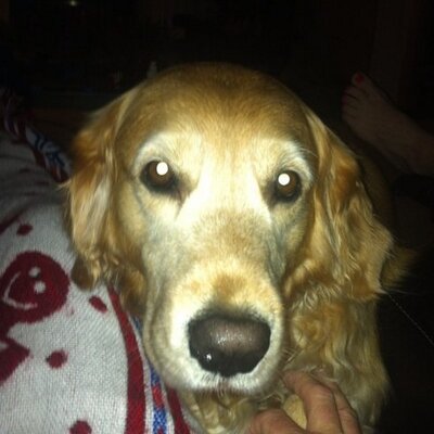 Profile Picture of Jeff Collett (@JeffJsco) on Twitter