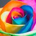Profile Picture of Candace Goodman (@candace.goodman.395) on Facebook